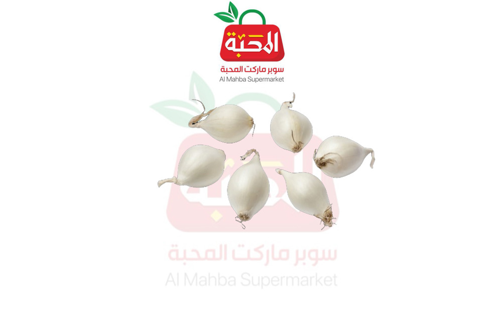 بصل أبيض 
